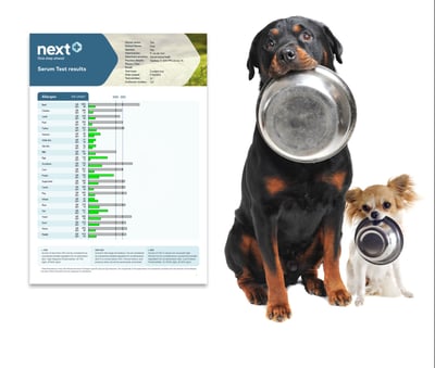 Next+food-test